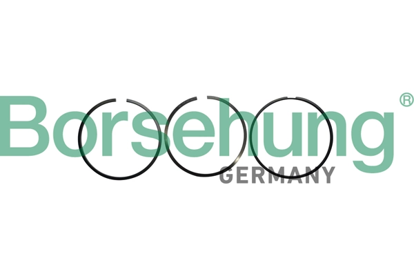 BORSEHUNG B10362