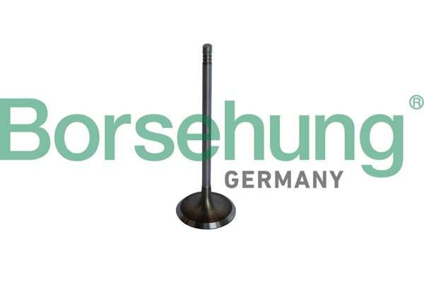 BORSEHUNG B10325