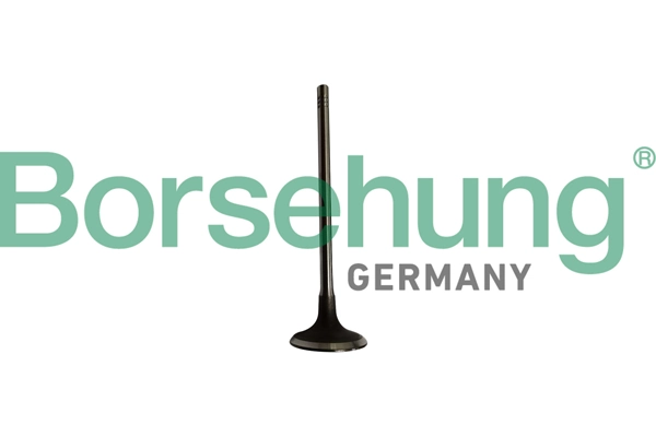 BORSEHUNG B10334