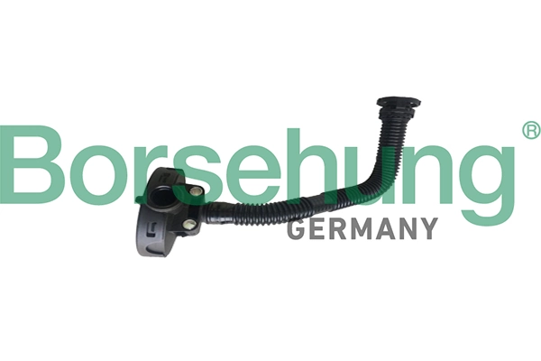 BORSEHUNG B19055