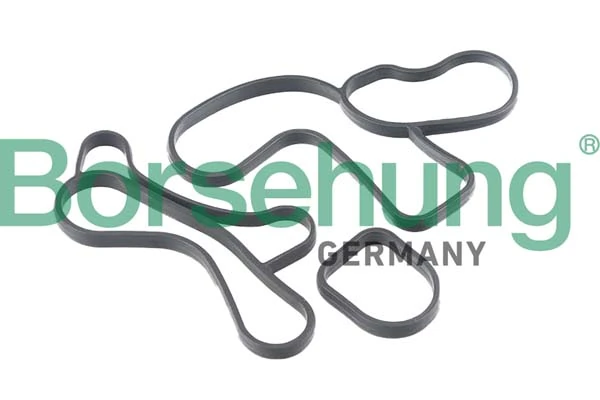 BORSEHUNG B12530