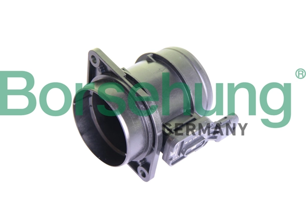 BORSEHUNG B11777
