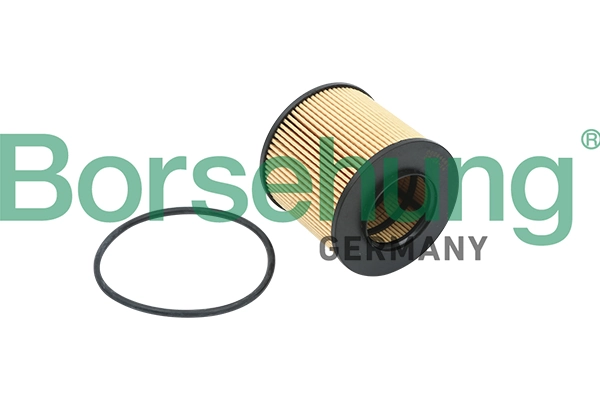 BORSEHUNG B12821