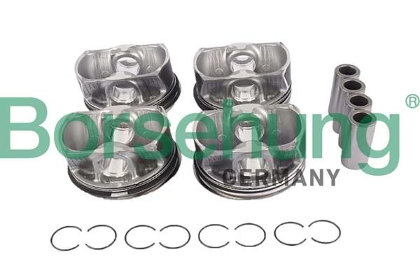 BORSEHUNG B11145
