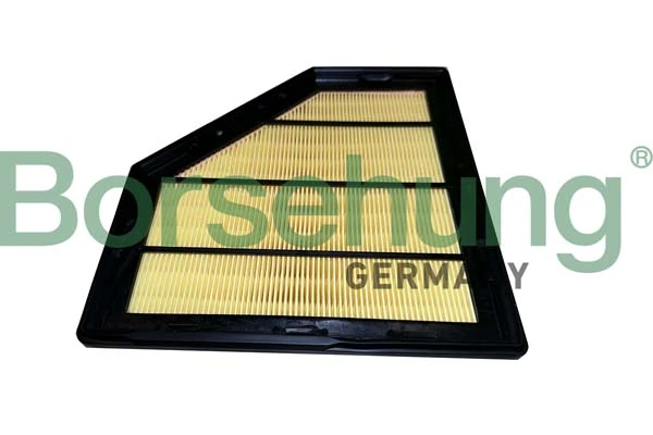 BORSEHUNG B12452