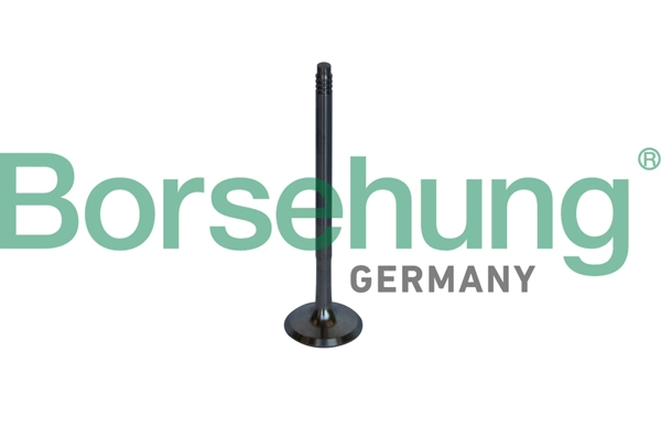 BORSEHUNG B10326