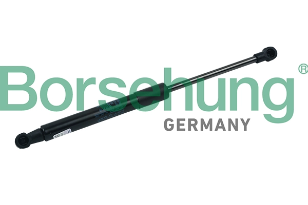 BORSEHUNG B18435