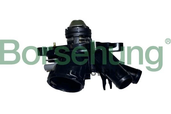 BORSEHUNG B10557