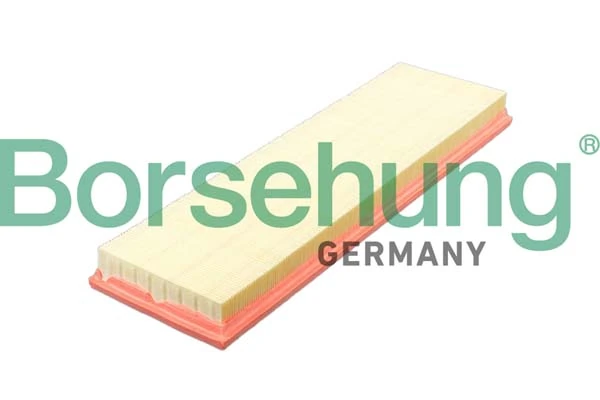 BORSEHUNG B12428