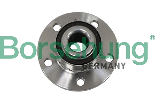 BORSEHUNG B19117