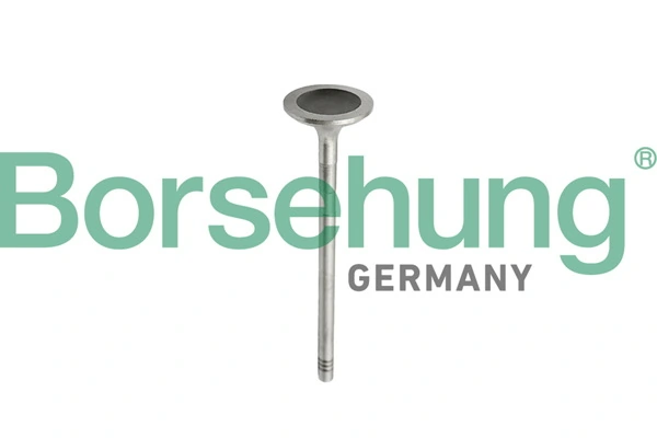 BORSEHUNG B10343