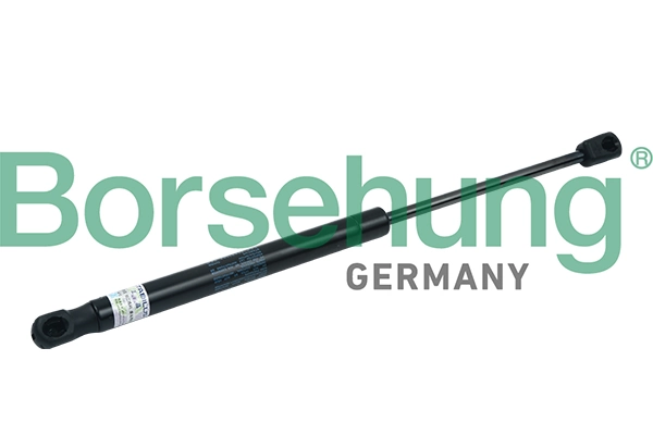 BORSEHUNG B18430