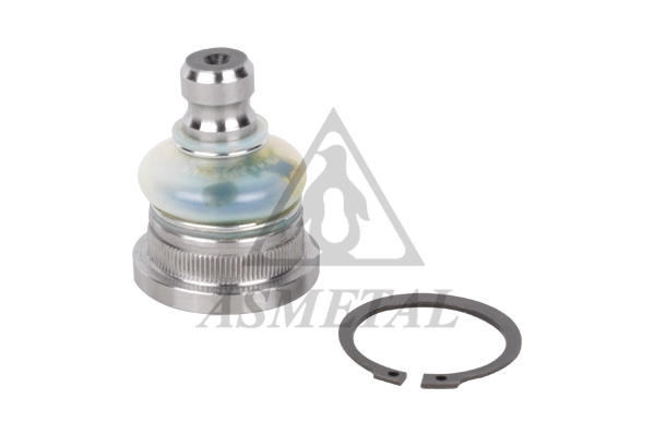 AS METAL 10RN5541