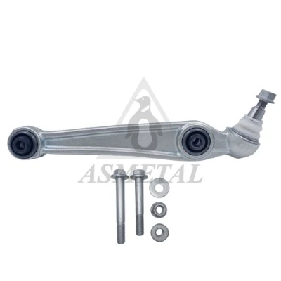 AS METAL 23BM0421
