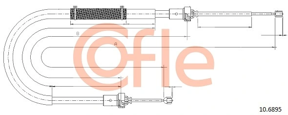 COFLE 106895