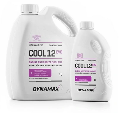 DYNAMAX 503380