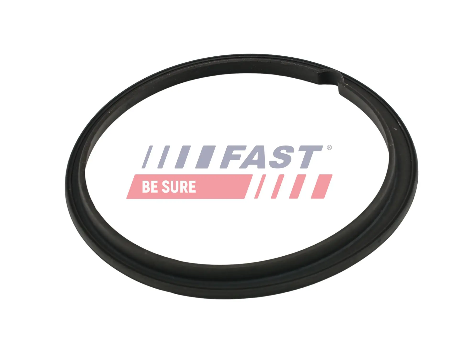 FAST FT48502