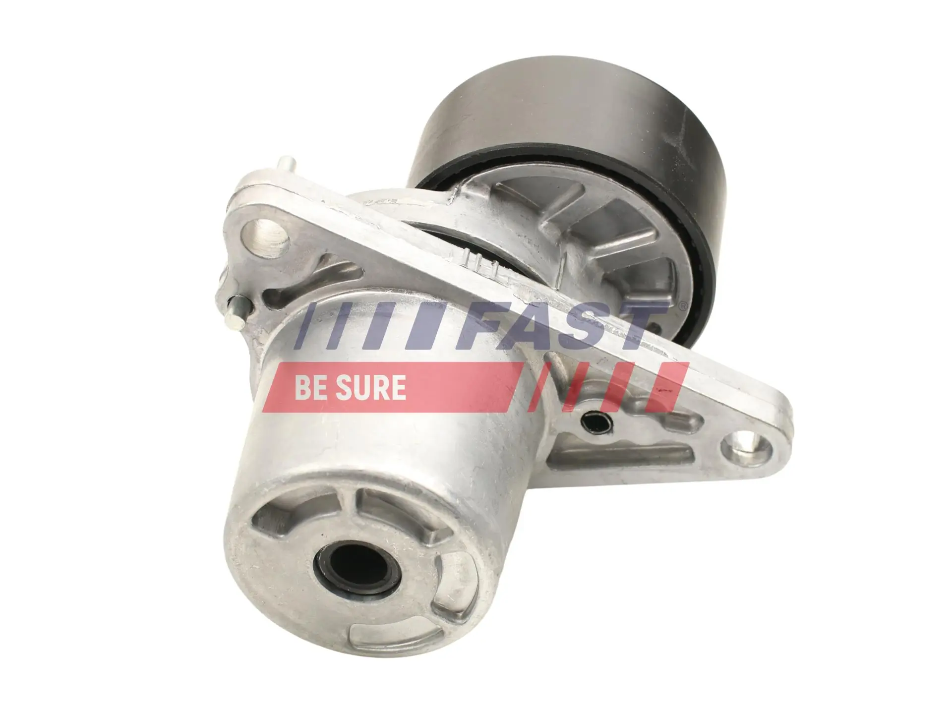 Renault 117205040R