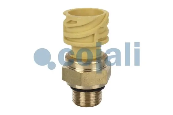 DT SPARE PARTS 227112