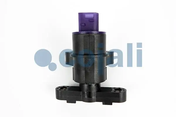 COJALI 2209115