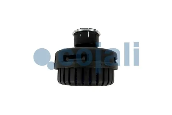 COJALI 2203109