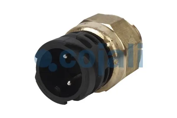 COJALI 2260342