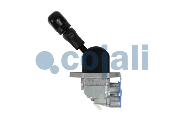 COJALI 2324301