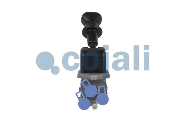 COJALI 2224515