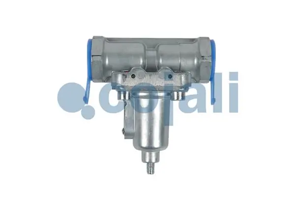 COJALI 2206167