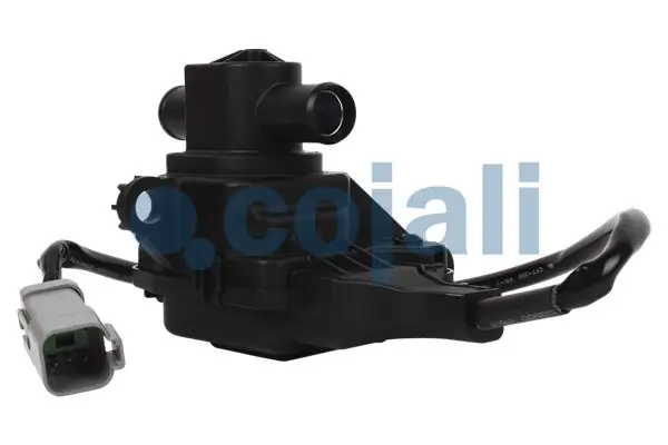 COJALI 2261055