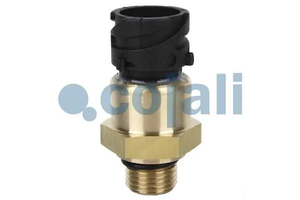 COJALI 2260264