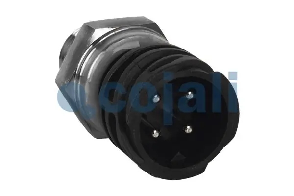 COJALI 2260262