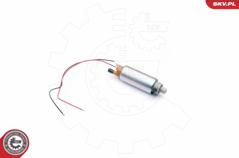 ESEN 02SKV301
