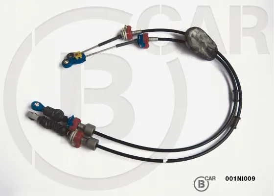 B CAR 001NI009