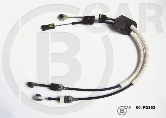 B CAR 001FD363
