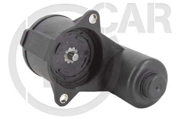 B CAR 009AD005