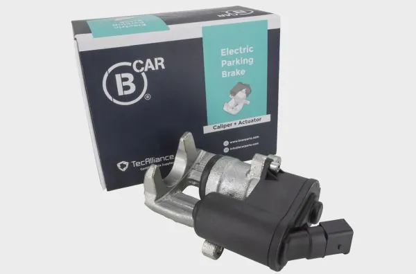 B CAR 008AD005