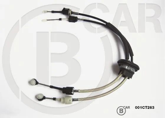 B CAR 001CT263