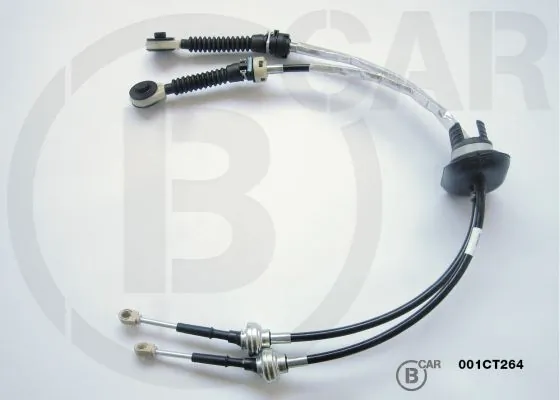 B CAR 001CT264