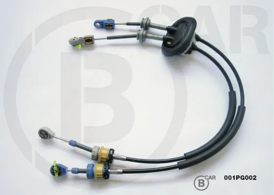 B CAR 001PG002