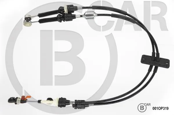 B CAR 001OP319