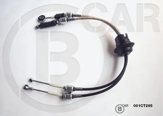 B CAR 001CT295