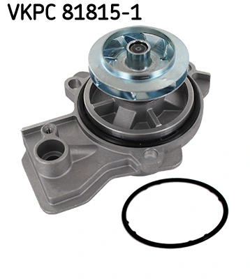 SKF VKPC818151