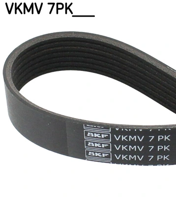 SKF VKMV7PK1922