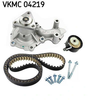 SKF VKMC04219