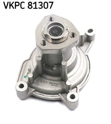 SKF VKPC81307