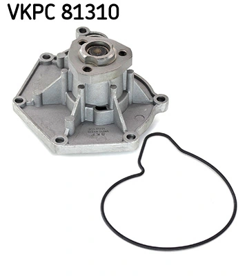 SKF VKPC81310