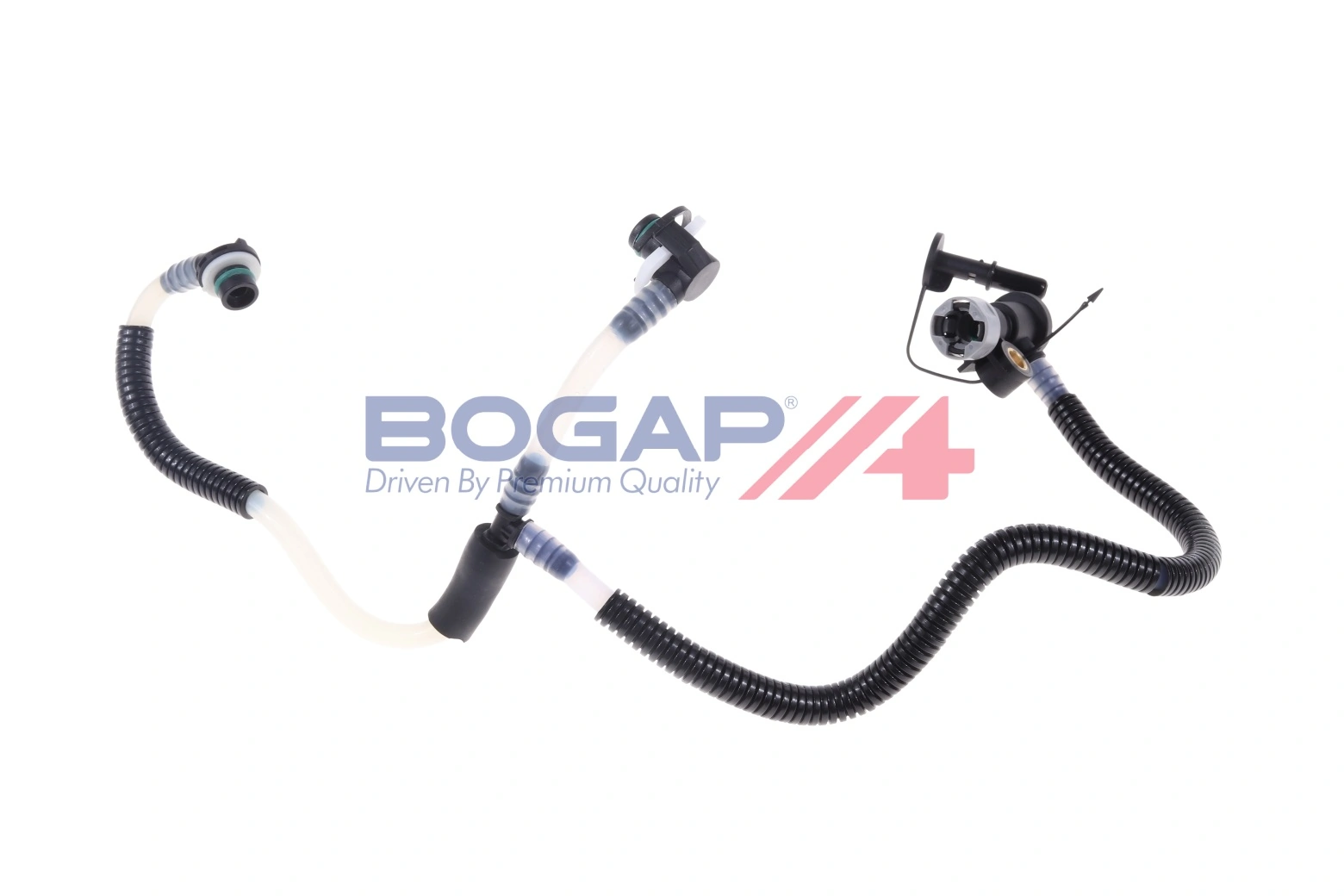 Bogap C1646113