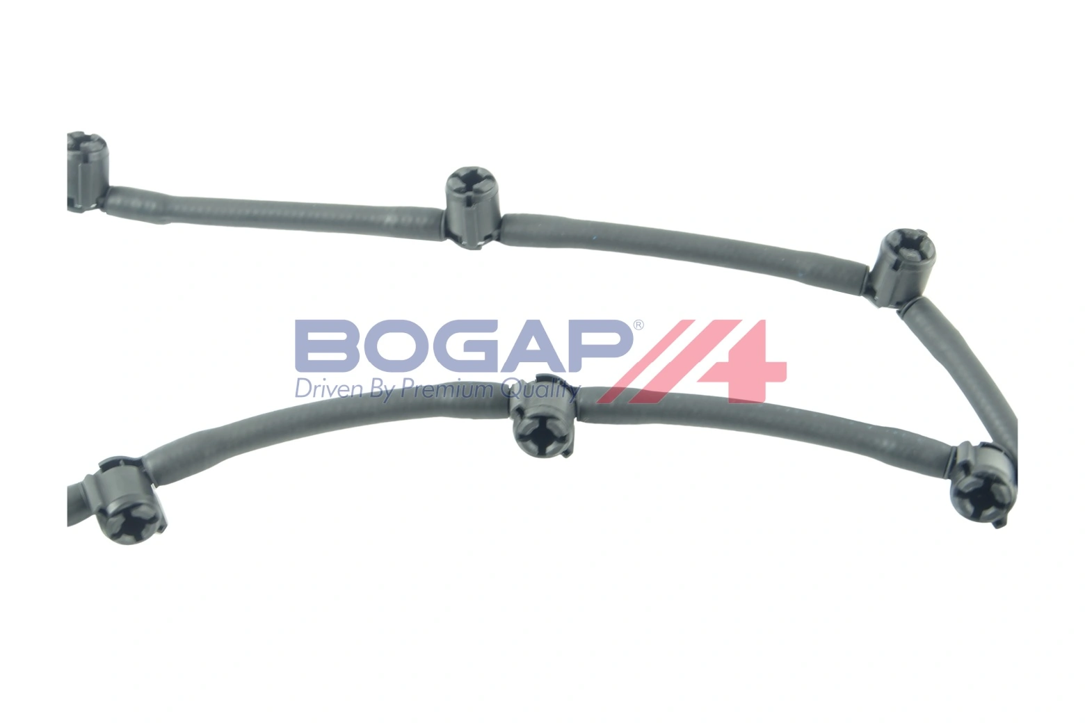 Bogap C1621117