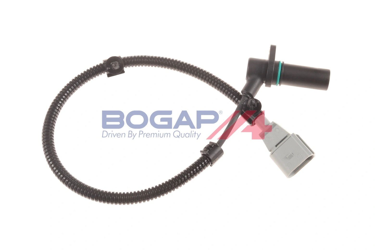 Bogap F6115101